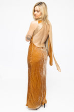 Load image into Gallery viewer, Lisa Ho Mustard Velvet Gown
